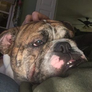 Meet your Posher, Tara